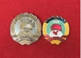 中国人民政治协商纪念章